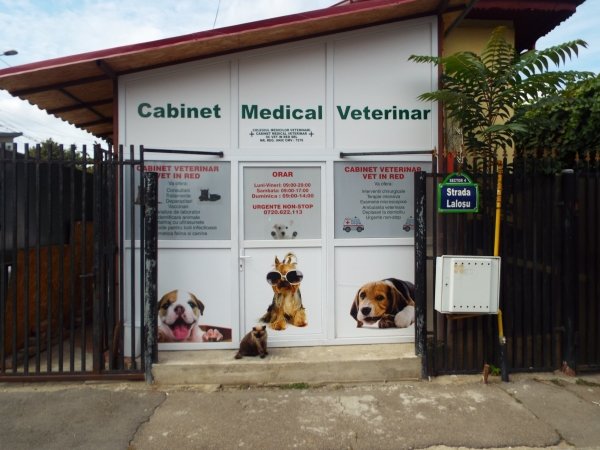 Vet in Red - Cabinet Veterinar